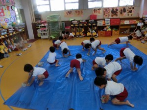 シート拭き (5)